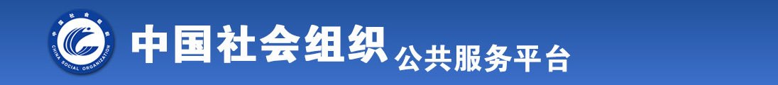 日妣片全国社会组织信息查询